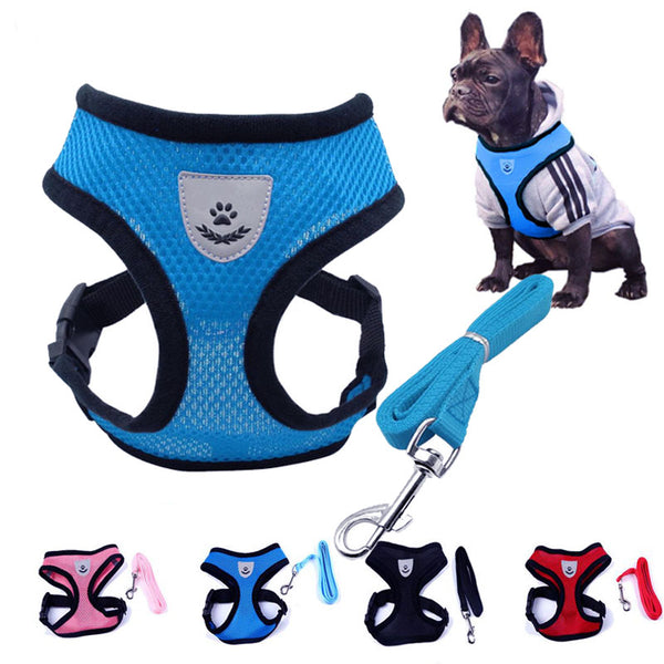 Cute Small Nylon Dog Harness Cat Pet Harness set Chihuahua Bichon Pet dog Accessories Dog Lead Pet Shop Supplies Pet Dog Collars