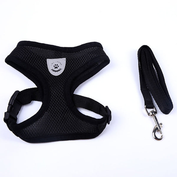 Cute Small Nylon Dog Harness Cat Pet Harness set Chihuahua Bichon Pet dog Accessories Dog Lead Pet Shop Supplies Pet Dog Collars