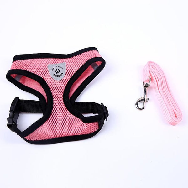 Cute Small Nylon Dog Harness Cat Pet Harness set Chihuahua Bichon Pet dog Accessories Dog Lead Pet Shop Supplies Pet Dog Collars