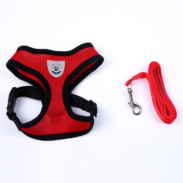 Cute Small Nylon Dog Harness Cat Pet Harness set Chihuahua Bichon Pet dog Accessories Dog Lead Pet Shop Supplies Pet Dog Collars