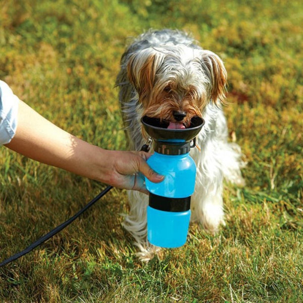 Portable Outdoor Pet Dogs Drinking Water Bottle